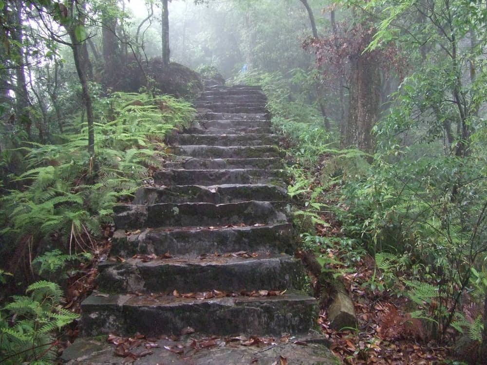 梵净山(黔东南)实景图